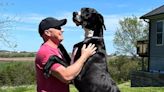 World's tallest dog Kevin dies at three, months after breaking record