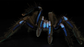 Meet the first electric blue tarantula known to science