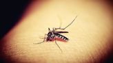 Allegheny County continues to spray for mosquitos to reduce West Nile virus population