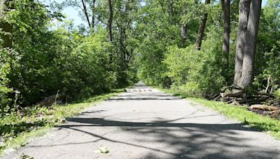 Council approves trail system at South Cameron woodlot in Windsor, Ont.