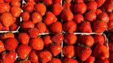 Marysville Strawberry Festival kicks off this week