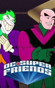 DC Super Friends