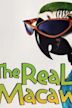 The Real Macaw (film)