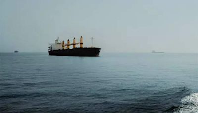 Turkey to send ship to search for oil and gas off Somalia coast - ET EnergyWorld