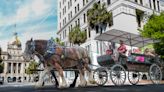 Advocacy leads Savannah to consider future of horse tours as city studies impact