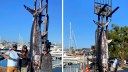 ‘Stars Align’ to Help California Anglers Shatter State Record with 520-Pound Swordfish