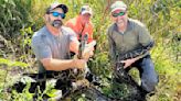 Biologists wrestle massive 16-foot python from Florida canal