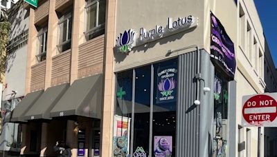 Purple Lotus cannabis dispensary draws customers to downtown San Jose