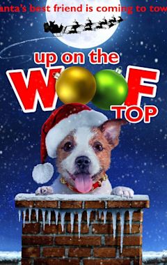 Up on the Wooftop