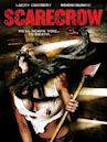 Scarecrow (2013 film)