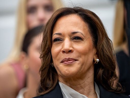 Who Kamala Harris picks for her running mate will show where her campaign sees its path to victory