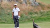 A Thanksgiving treat: Comparing professional golfers to popular turkey day dishes