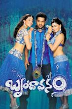 Brindavanam (2010 film)