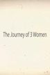 The Journey of 3 Women