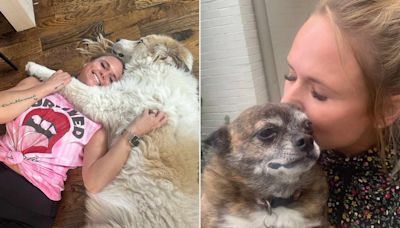 Miranda Lambert Mourns the Deaths of 2 Beloved Rescue Dogs: 'To Love This Big, You Have to Hurt'