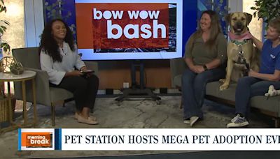 Pet Station hosts Bow Wow Bash: A mega adoption event for furry friends