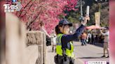 「我想去被櫻花警察攔查」台中警宣導櫻花交通管制 粉絲都看上櫻花「女警」
