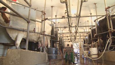 New law allows for the sale, not consumption of raw milk in the state of Louisiana