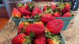LOOK! Hand picked fresh New Jersey strawberries are here