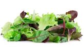 Lab error incorrectly resulted in salad greens recall at Market Basket, Hannaford supermarkets