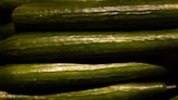 Cucumbers sold in NY recalled for possible salmonella contamination