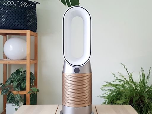 Are Dyson fans worth it? Here's what you need to know about the coveted summer essential before investing