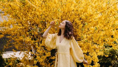 Spring’s yellow: A wistful season of beginnings and endings