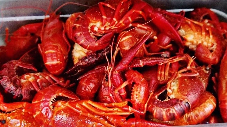 Garret Graves, Troy Carter announce USDA assistance for Louisiana crawfish farmers