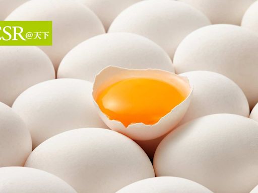 從一顆雞蛋 建立餐飲的綠色永續供應鏈- CSR@天下