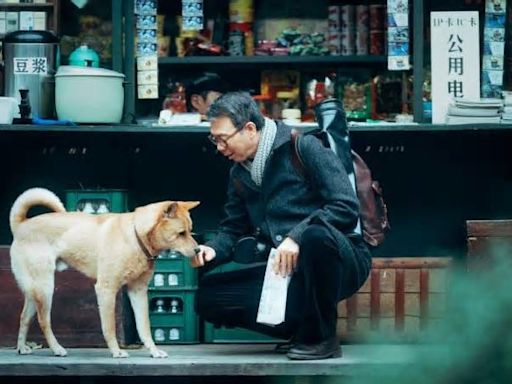 Hachiko 2: siempre a tu lado, la conmovedora cinta china que revisita la historia del perro más fiel