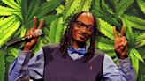 Snoop Dogg's Blunt Roach Hits Auction Block Among Hundreds More Musical, Personal Memorabilia Items