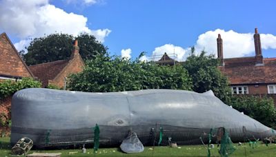 Festival returns with life sized whale and human towers