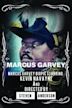 The Marcus Garvey Story