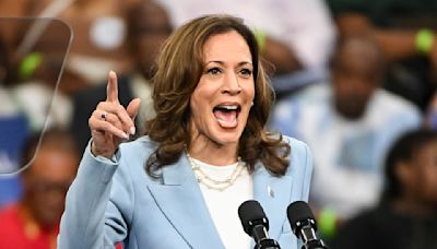 ¿Quiénes son los candidatos a vicepresidente de Kamala Harris?