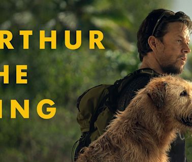 'Arthur The King' movie review: Mark Wahlberg's new offering is stylish, slick, and sentimental