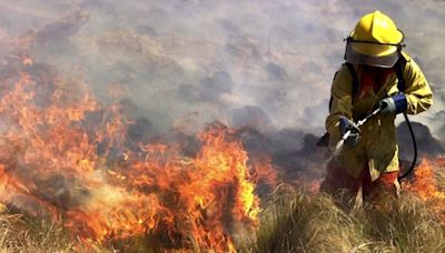 Otro incendio en Córdoba: tres focos se activaron en simultáneo en La Calera y sospechan que fue algo intencional