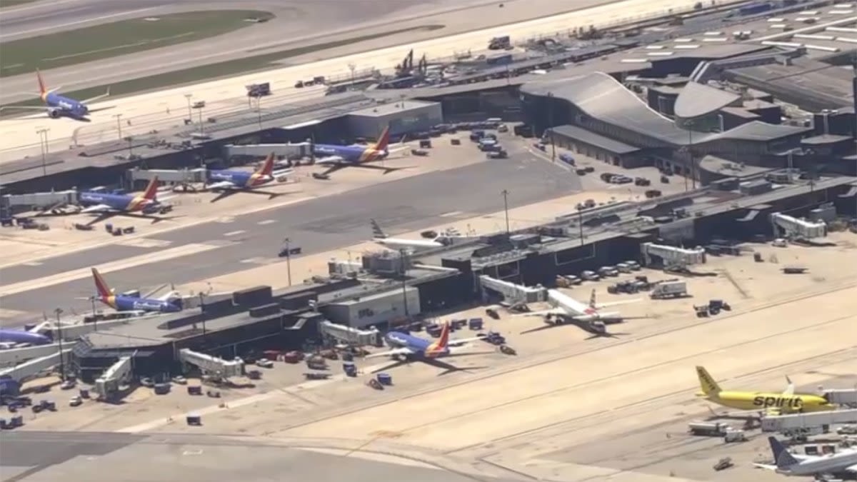 Flight from Reagan National diverted to BWI after possible bird strike