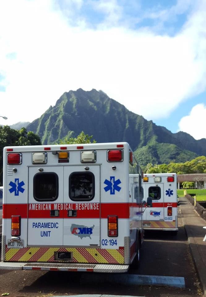 Hawaii Department of Health awards 2 contracts to AMR