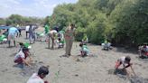 Significance of mangrove ecosystems stressed