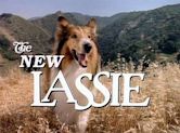 The New Lassie