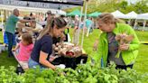 Farmers market, Song Fest, Splash Party: What's happening this weekend in Newport County