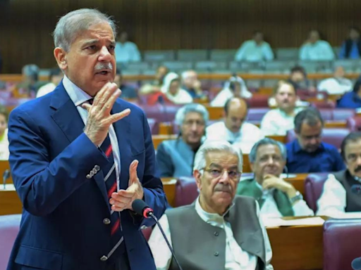 Shehbaz government moves to ban PTI, slap 'high treason' cases on Imran, Arif - Times of India