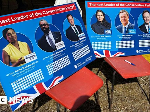 Conservative leadership hopefuls on parade at agricultural show