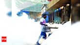 Use fogging sparingly to kill mosquitoes: Health services | Goa News - Times of India