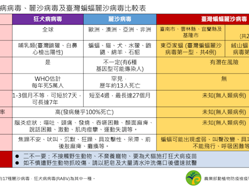 蝙蝠別亂碰！ 新北蝙蝠被驗出麗莎病毒 疾管署：有人畜共通的感染風險