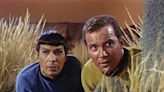 Writer of "The Doomsday Machine" confirmed that William Shatner counted lines on Star Trek