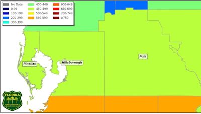 Polk County declares a burn ban because of persistently dry conditions