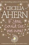 If You Could See Me Now (Ahern novel)