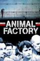 Animal Factory