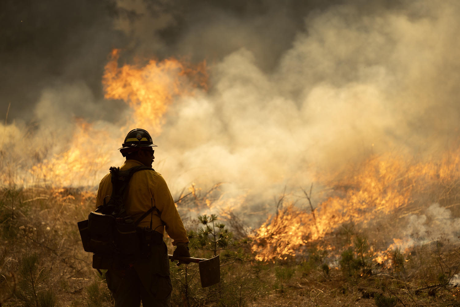More than 726,000 acres burned as wildfires rage in California
